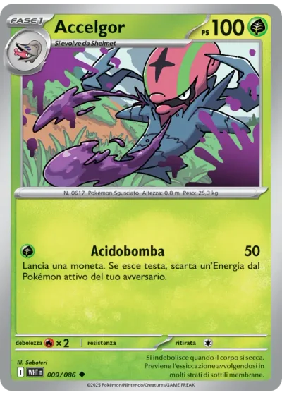 Accelgor