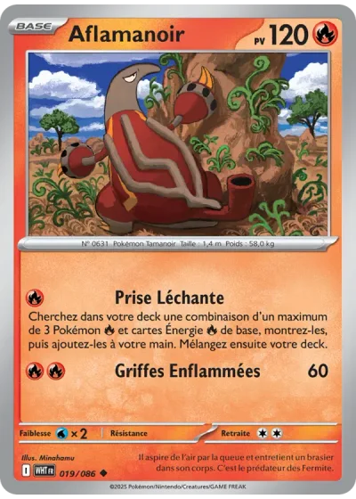 Aflamanoir