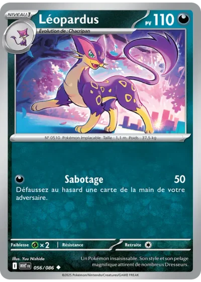 Léopardus