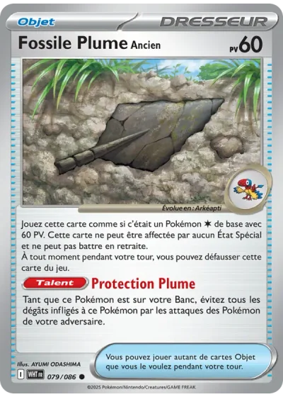 Fossile Plume Ancien