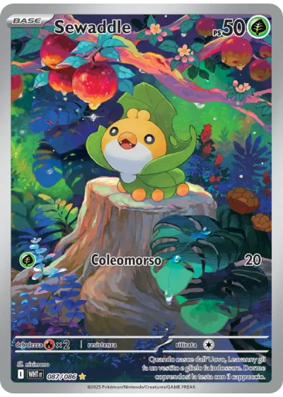 Sewaddle