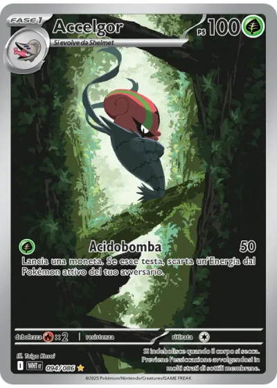 Accelgor