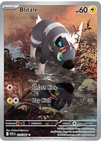 Blitzle
