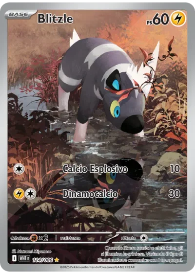Blitzle