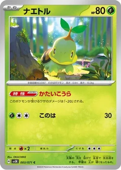 Turtwig