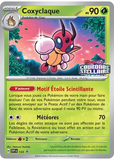 Coxyclaque
