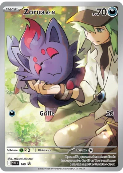 Zorua de N