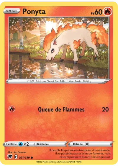 Ponyta