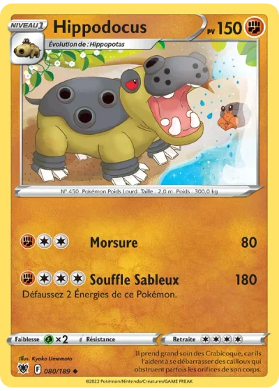 Hippodocus