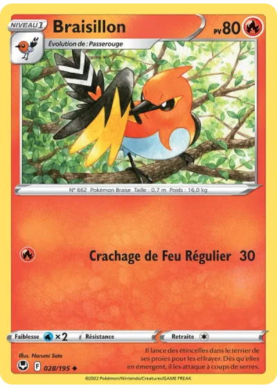 Braisillon