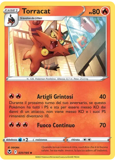 Torracat