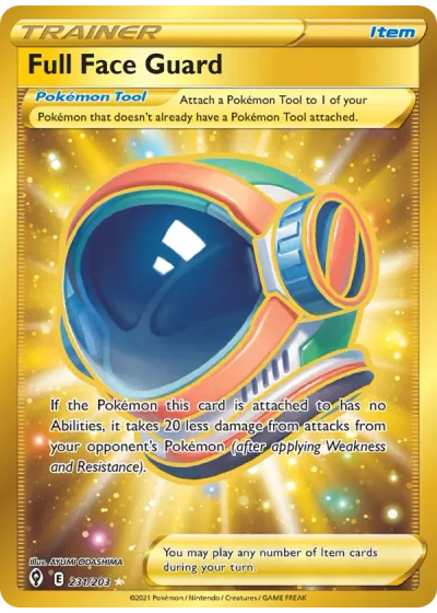 Full Face Guard
