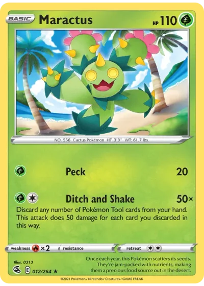Maractus