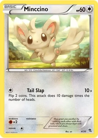 Minccino