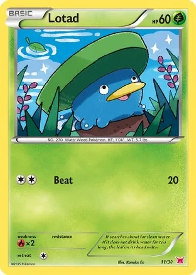 Lotad
