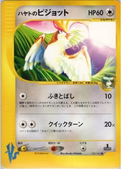 Falkner's Pidgeot