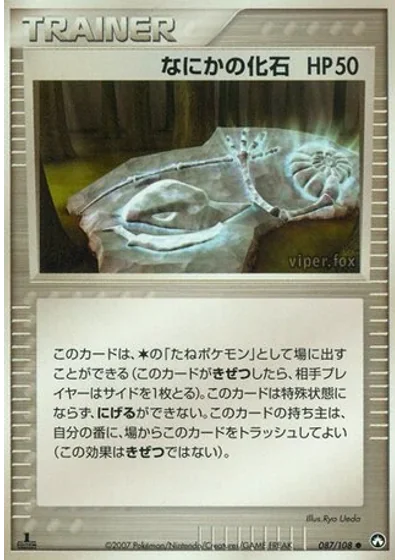 Mysterious Fossil