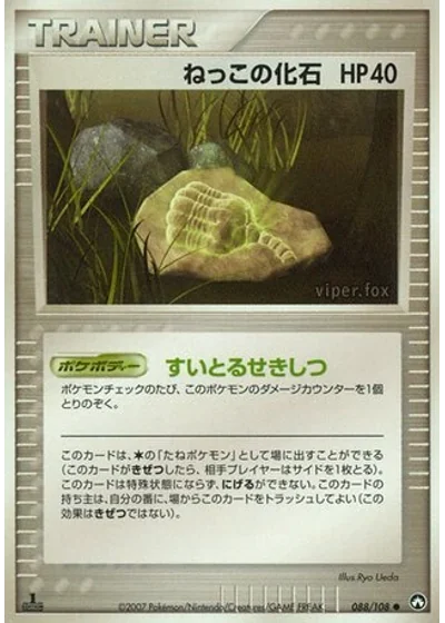 Root Fossil