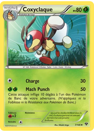 Coxyclaque