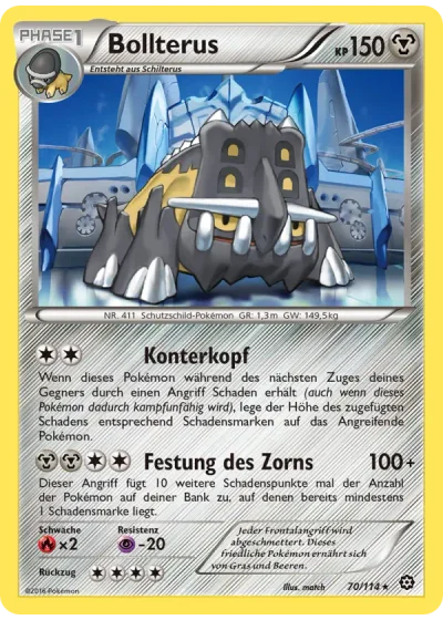 Bollterus