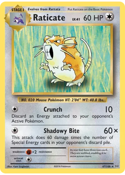 Raticate