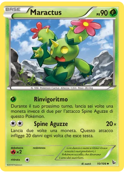 Maractus