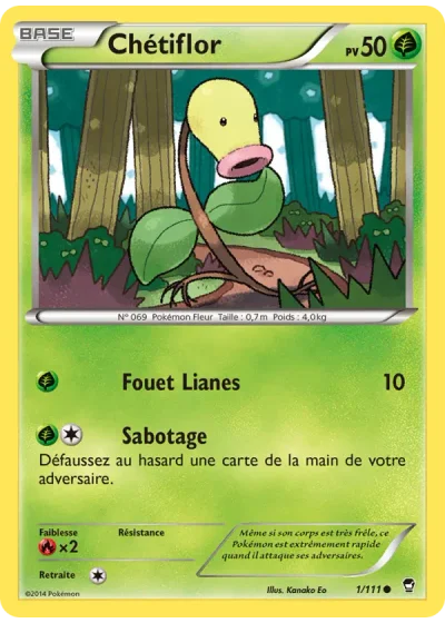 Chétiflor