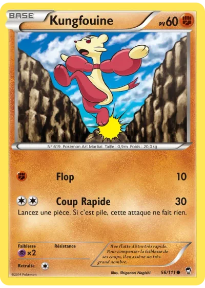 Kungfouine