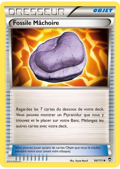 Fossile Mâchoire