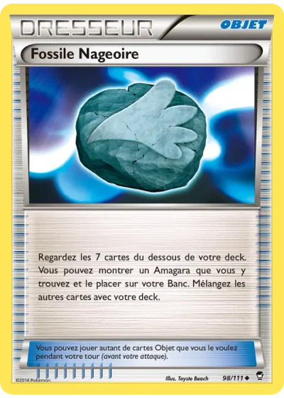 Fossile Nageoire