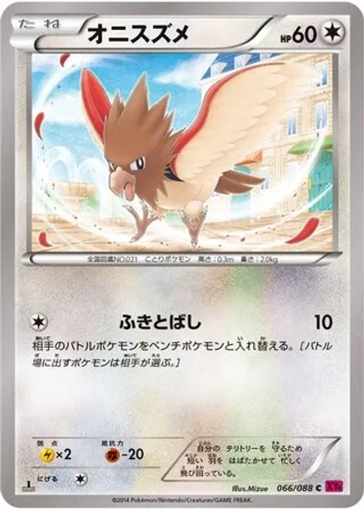 Spearow