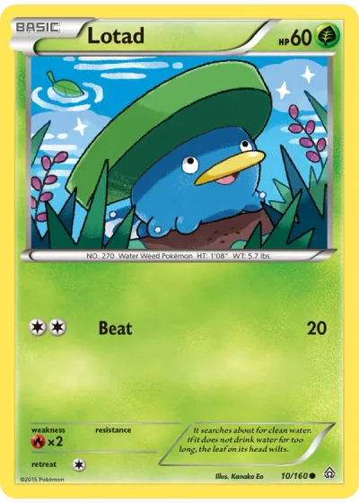 Lotad