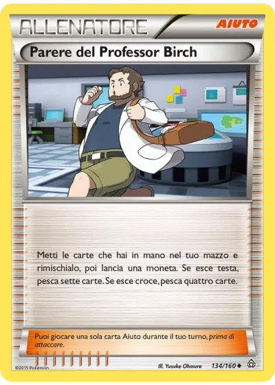 Parere del Professor Birch