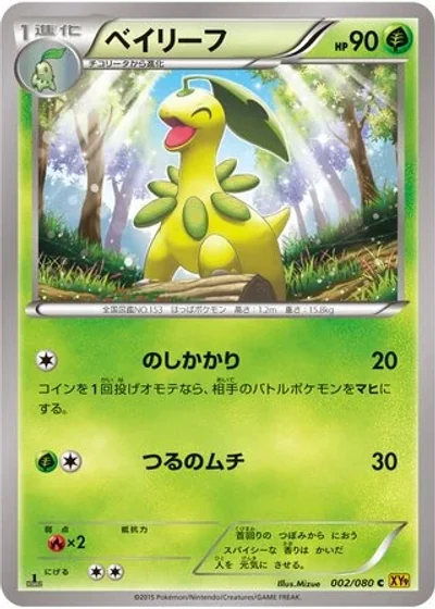 Bayleef