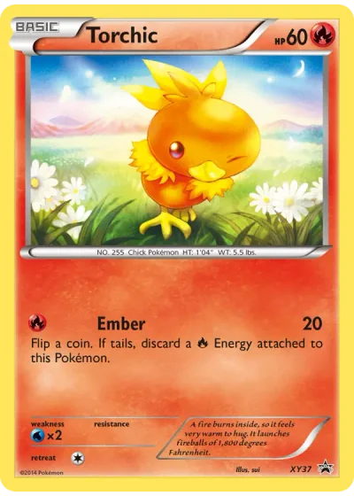 Torchic