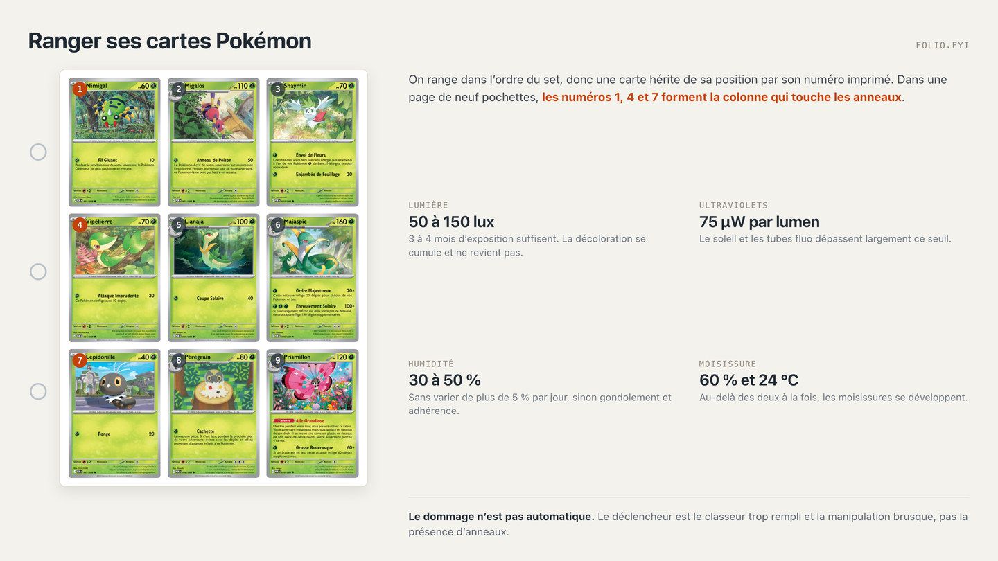 Ranger ses cartes Pokémon : ce qui les abîme vraiment