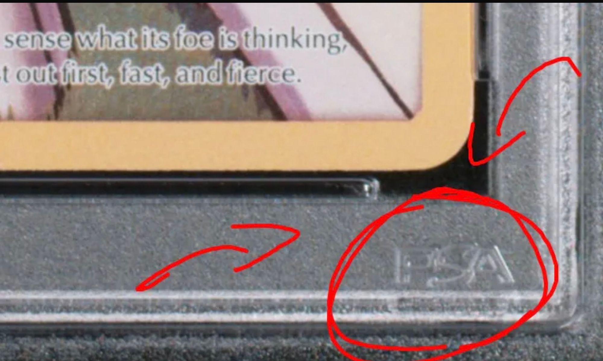 Macro photograph of the bottom right corner of a PSA slab with the PSA logo molded into the plastic, circled in red.
