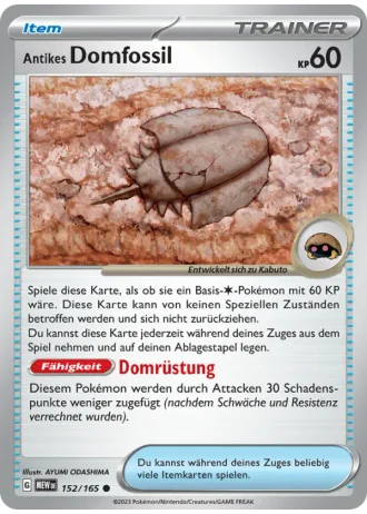 Antikes Domfossil #152/165 — 151