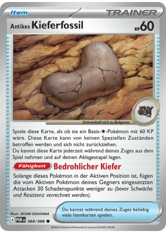 Antikes Kieferfossil #068/88 — Optimale Ordnung