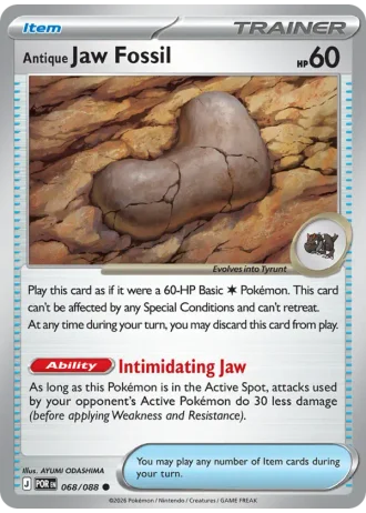 Antique Jaw Fossil #068/88 — Perfect Order