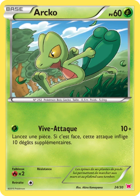Arcko #24 — XY Kit du dresseur (Latias)