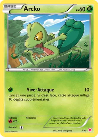 Arcko #7 — XY Kit du dresseur (Latias)