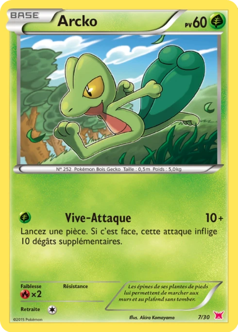 Arcko #7 — XY Kit du dresseur (Latias)