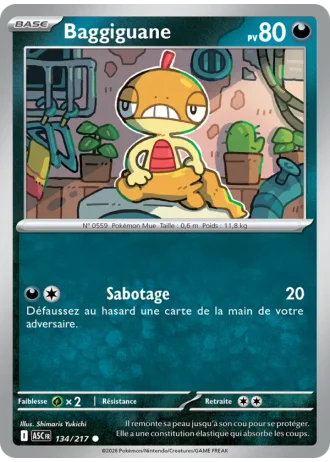 Baggiguane #134/217 — Héros Transcendants