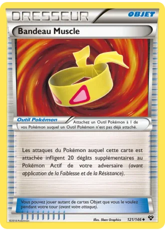 Bandeau Muscle #121/146 — XY