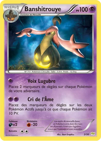 Banshitrouye #2 — XY Kit du dresseur (Bruyverne)