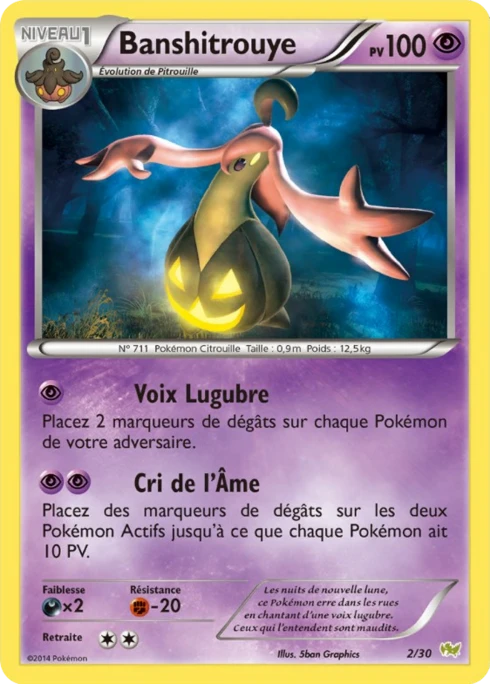 Banshitrouye #2 — XY Kit du dresseur (Bruyverne)