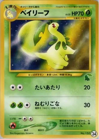 Bayleef #24 — Intro Pack Neo (Chikorita)
