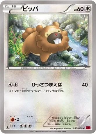 Bidoof #50 — Collection Y