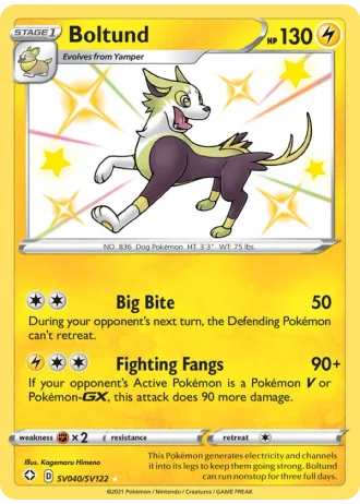 Boltund SV040/122 — Shiny Vault (Shining Fates)